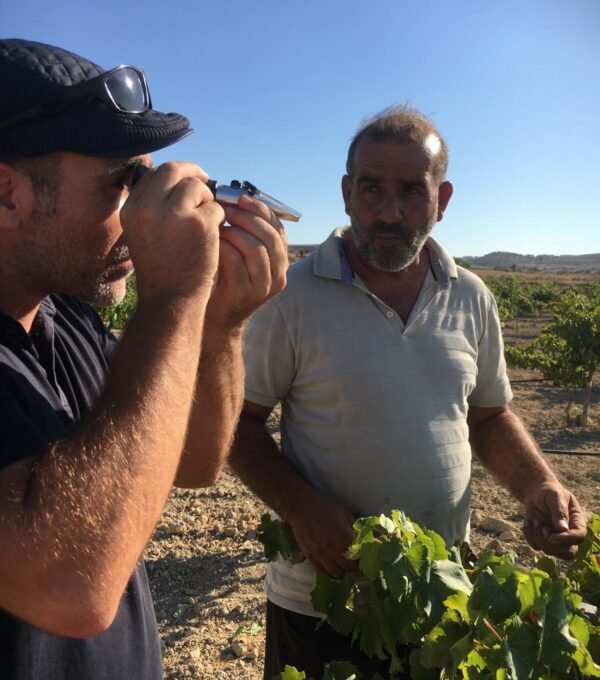 Exploring Lurucina’s Terroir